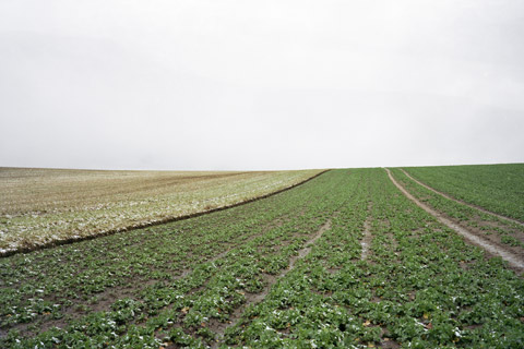 Feld bei Lenzen, Hagen Hoffmann Kulturlandschaften -  Die Prignitz, eine Region im Wandel