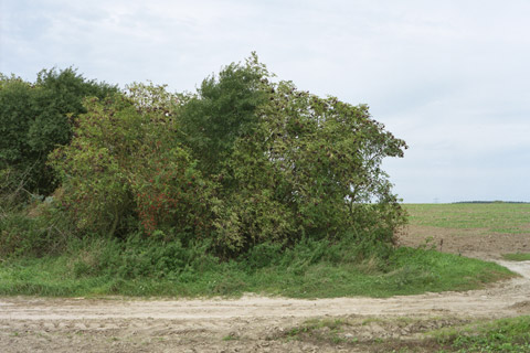 In der Nähe von Krampfer, Hagen Hoffmann Kulturlandschaften -  Die Prignitz, eine Region im Wandel